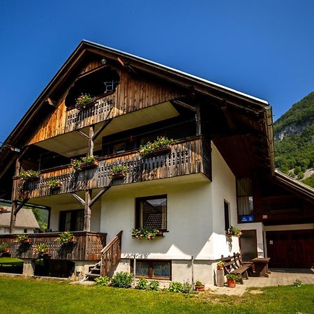 Apartment And Room Mateja Kovacic Bohinj Exterior photo